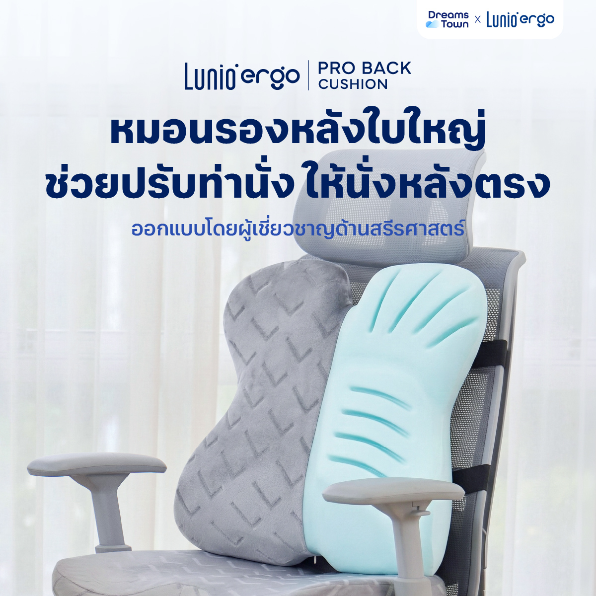 เบาะรองหลัง LUNIO ERGO PRO BACK CUSHION_9